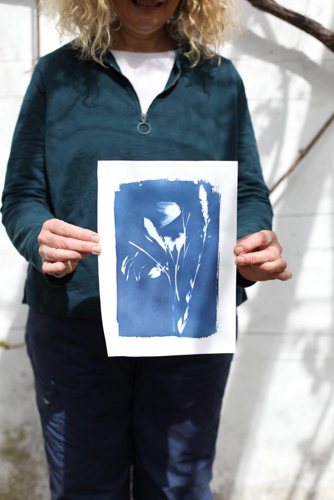 Cyanotype Printing Paper (A4) – The Wild Darkroom